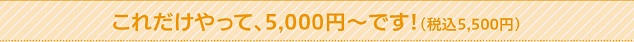 これだけやって、5,800円〜です!